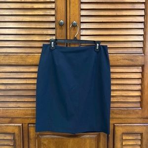 NWOT Anne Klein Navy Dress skirt
